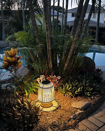 The Cove Solar Light