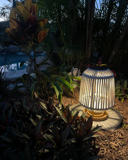 The Cove Solar Light