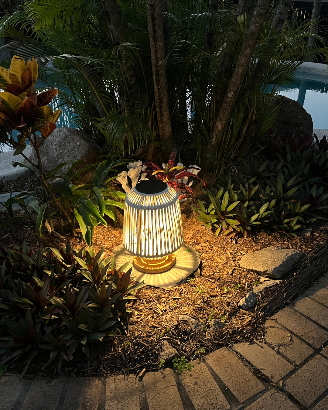 The Cove Solar Light