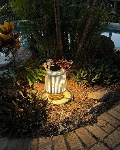 The Cove Solar Light