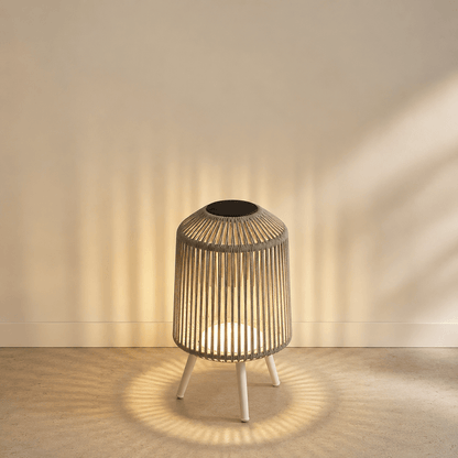 The Cove Lamp